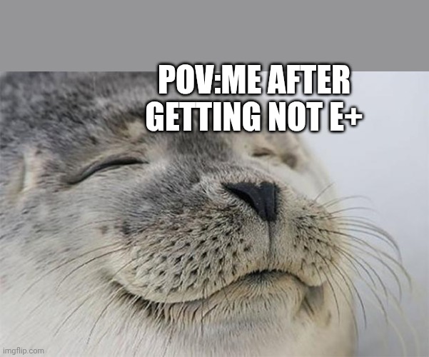 Satisfied Seal | POV:ME AFTER GETTING NOT E+ | image tagged in memes,satisfied seal | made w/ Imgflip meme maker