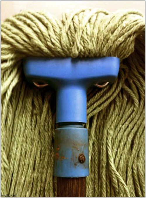 An Angry Mop ! | image tagged in angry,mop | made w/ Imgflip meme maker