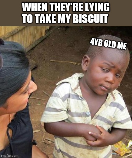 Third World Skeptical Kid | WHEN THEY'RE LYING TO TAKE MY BISCUIT; 4YR OLD ME | image tagged in memes,third world skeptical kid | made w/ Imgflip meme maker