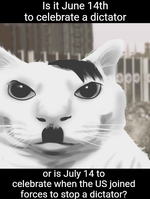 When US Citizens Joined the War | Is it June 14th to celebrate a dictator; or is July 14 to celebrate when the US joined forces to stop a dictator? | image tagged in bastille day vs birthday | made w/ Imgflip meme maker
