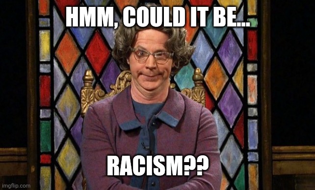 Church Lady SNL | HMM, COULD IT BE... RACISM?? | image tagged in church lady snl | made w/ Imgflip meme maker