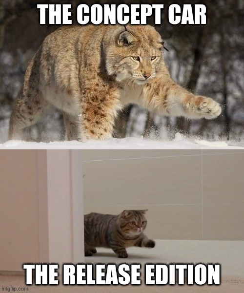 Snow leopard and housecat | THE CONCEPT CAR; THE RELEASE EDITION | image tagged in snow leopard and housecat | made w/ Imgflip meme maker