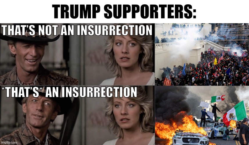 Insurrectile Dysfunction | image tagged in la protests,la riots,trump,let's show you how it's really done,amateurs v pros,insurrectile dysfunction | made w/ Imgflip meme maker