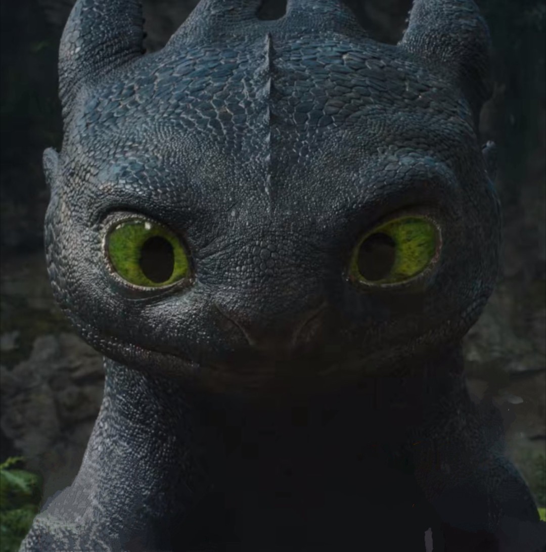 Toothless Blank Meme Template