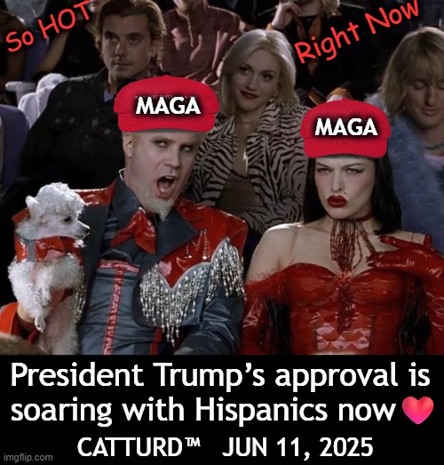 I guess they realize Trump has been right all along...:) | So HOT; Right Now; MAGA; MAGA; President Trump’s approval is 
soaring with Hispanics now❤️; CATTURD™   JUN 11, 2025 | image tagged in donald trump,hispanic,voters,love,trump,so hot right now | made w/ Imgflip meme maker