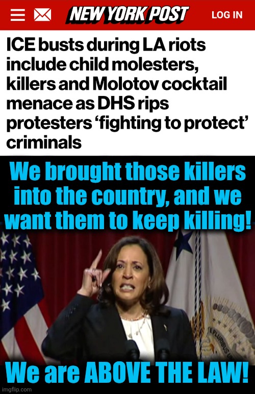 democrats above the law | We brought those killers
into the country, and we
want them to keep killing! We are ABOVE THE LAW! | image tagged in kamala angry,memes,democrats,above the law,los angeles riots,illegal immigrants | made w/ Imgflip meme maker