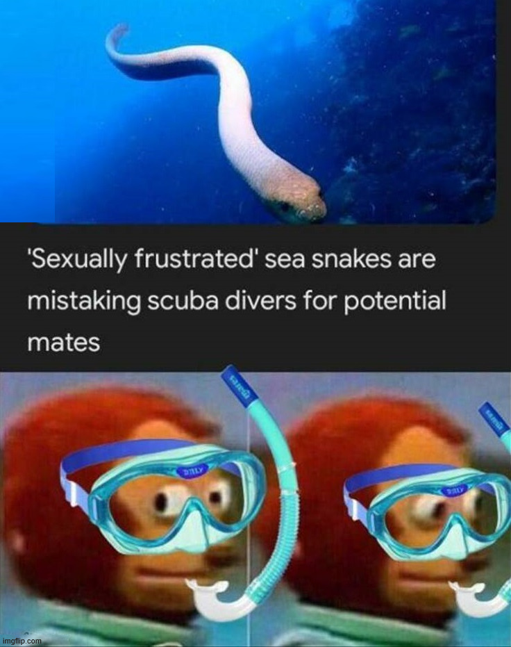 Be careful down there divers | image tagged in repost | made w/ Imgflip meme maker