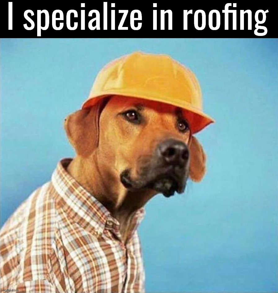 Likes to woof | I specialize in roofing | image tagged in eyeroll | made w/ Imgflip meme maker