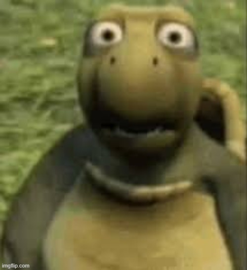 image tagged in concerned turtle | made w/ Imgflip meme maker