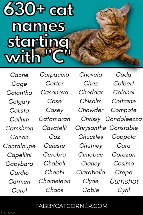 Cumshot | made w/ Imgflip meme maker