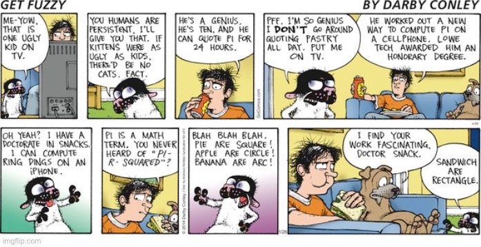 image tagged in comics,get fuzzy,cat and dog | made w/ Imgflip meme maker