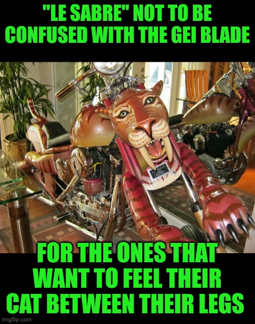 Funny | "LE SABRE" NOT TO BE CONFUSED WITH THE GEI BLADE; FOR THE ONES THAT WANT TO FEEL THEIR CAT BETWEEN THEIR LEGS | image tagged in funny,custom,motorcycle,cat,feel good,confused confusing confusion | made w/ Imgflip meme maker
