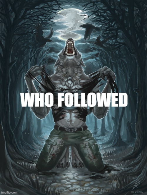 Wolf Howling | WHO FOLLOWED | image tagged in wolf howling | made w/ Imgflip meme maker