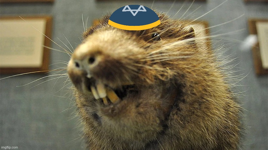 image tagged in memes,jews,funny animal meme,shitpost,dark humor,lol | made w/ Imgflip meme maker