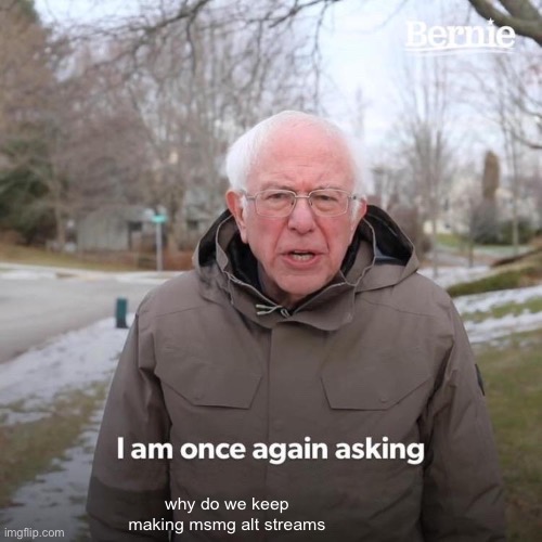 Bernie I Am Once Again Asking For Your Support | why do we keep making msmg alt streams | image tagged in memes,bernie i am once again asking for your support | made w/ Imgflip meme maker