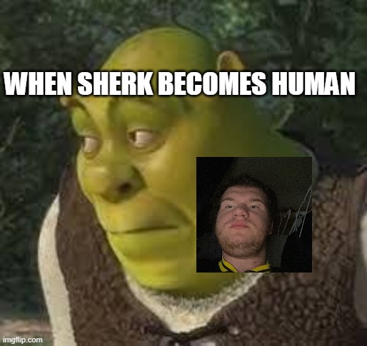 When Sherk become human | WHEN SHERK BECOMES HUMAN | image tagged in sherk | made w/ Imgflip meme maker