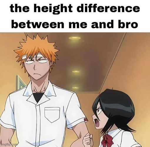 image tagged in bleach,ichigo,rukia | made w/ Imgflip meme maker