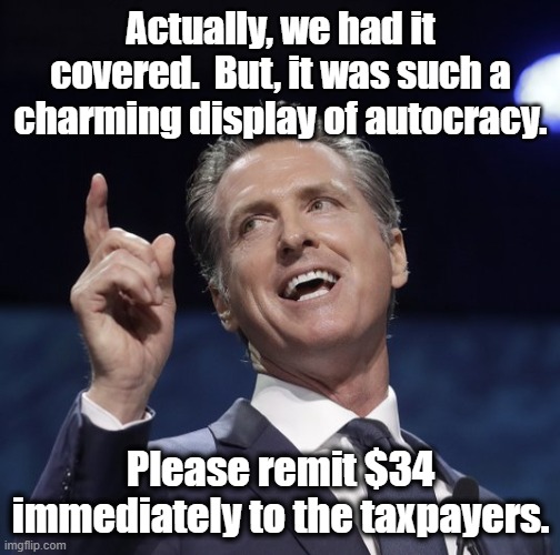 Gavin newsom | Actually, we had it covered.  But, it was such a charming display of autocracy. Please remit $34 immediately to the taxpayers. | image tagged in gavin newsom | made w/ Imgflip meme maker