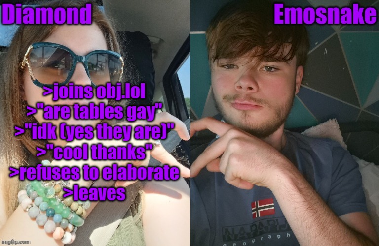 >joins obj.lol
>"are tables gay"
>"idk (yes they are)"
>"cool thanks"
>refuses to elaborate
>leaves | image tagged in diamond and es shared couple temp | made w/ Imgflip meme maker