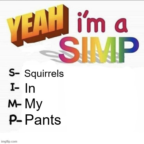 S.I.M.P. Squirrels In My Pants | Squirrels; In; My; Pants | image tagged in yeah im a simp,phineas and ferb | made w/ Imgflip meme maker