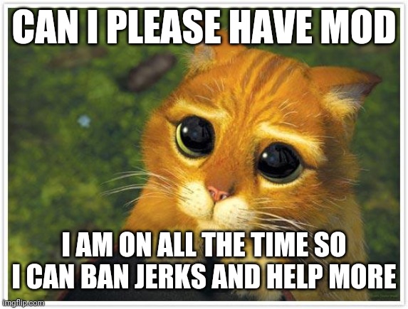 No pressure | CAN I PLEASE HAVE MOD; I AM ON ALL THE TIME SO I CAN BAN JERKS AND HELP MORE | image tagged in memes,shrek cat | made w/ Imgflip meme maker