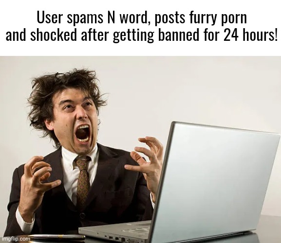 "I didn't do anything to deserve this!" | User spams N word, posts furry porn and shocked after getting banned for 24 hours! | made w/ Imgflip meme maker