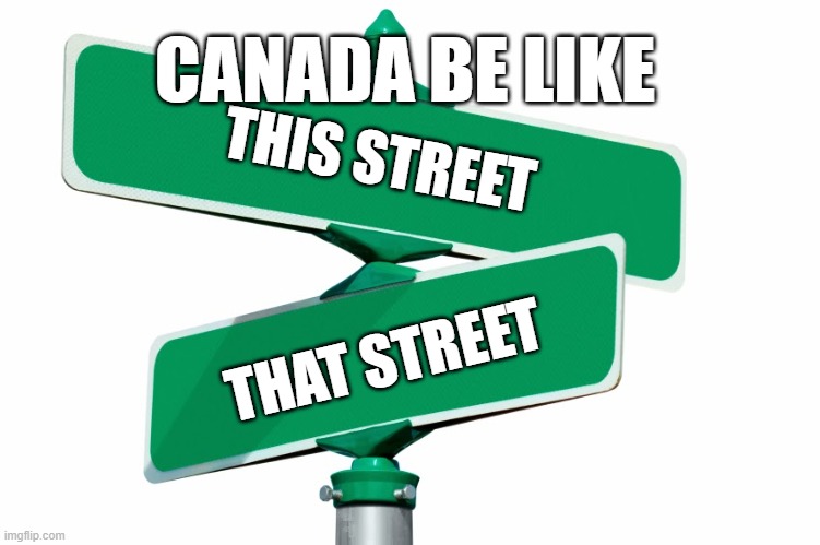 Blank Street Signs | CANADA BE LIKE; THIS STREET; THAT STREET | image tagged in blank street signs | made w/ Imgflip meme maker