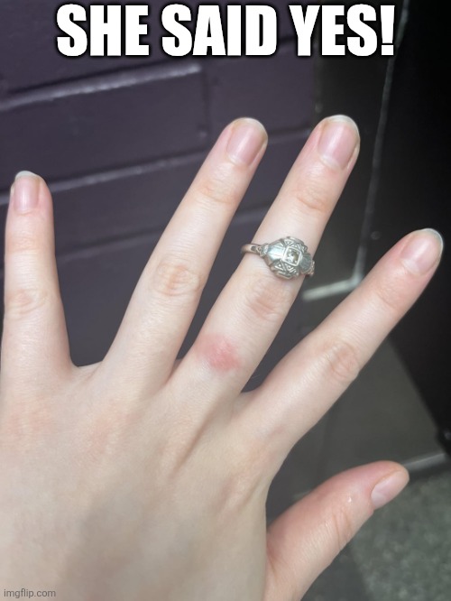 She Said Yes! | SHE SAID YES! | image tagged in chrisjoines1 | made w/ Imgflip meme maker
