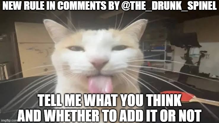 #2 | NEW RULE IN COMMENTS BY @THE_DRUNK_SPINEL; TELL ME WHAT YOU THINK AND WHETHER TO ADD IT OR NOT | image tagged in milly the silly cat bleh cat | made w/ Imgflip meme maker