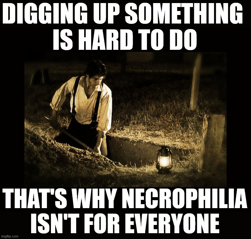 I really dig that about her | DIGGING UP SOMETHING 
IS HARD TO DO; THAT'S WHY NECROPHILIA ISN'T FOR EVERYONE | image tagged in grave digger | made w/ Imgflip meme maker