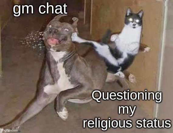 get rekt (announcement version) | gm chat; Questioning my religious status | image tagged in get rekt announcement version | made w/ Imgflip meme maker
