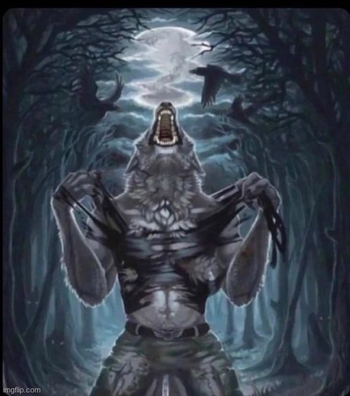 wolf raging | image tagged in wolf raging | made w/ Imgflip meme maker