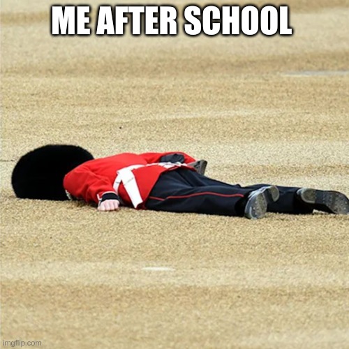 Royal Guard on the floor | ME AFTER SCHOOL | image tagged in royal guard on the floor | made w/ Imgflip meme maker