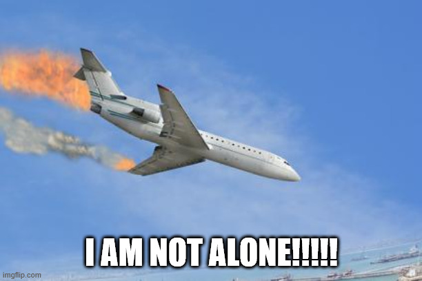 Crashing PLane | I AM NOT ALONE!!!!! | image tagged in crashing plane | made w/ Imgflip meme maker