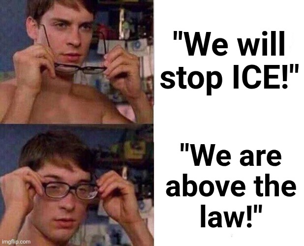 democrats above the law | "We will
stop ICE!"; "We are
above the
law!" | image tagged in spiderman glasses,memes,democrats,above the law,illegal immigrants,ice | made w/ Imgflip meme maker