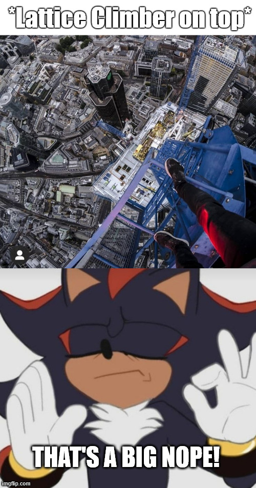 Shadow the Hedgehog | *Lattice Climber on top*; THAT'S A BIG NOPE! | image tagged in lattice climber,lattice climbing,shadow the hedgehog,climbing meme,sonic the hedgehog | made w/ Imgflip meme maker