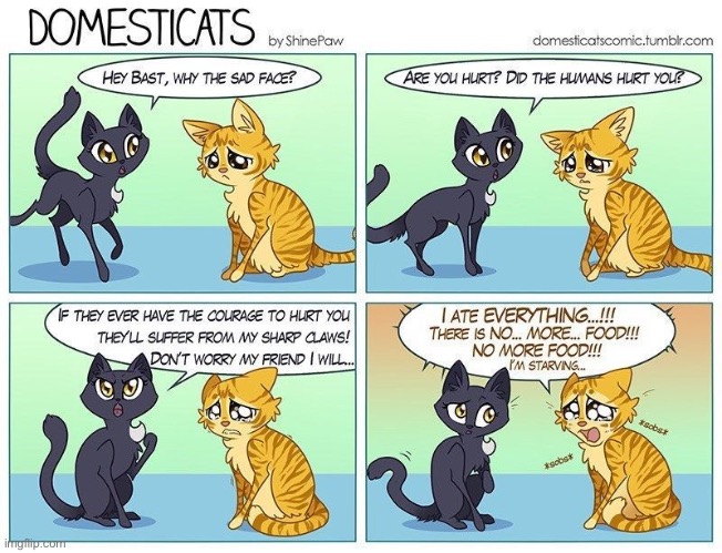 There must be more cat food… somewhere… | image tagged in cats,domesticats,comics,starving | made w/ Imgflip meme maker