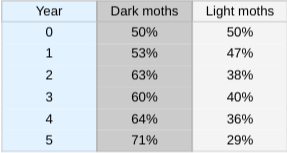 101%?????? Blank Meme Template