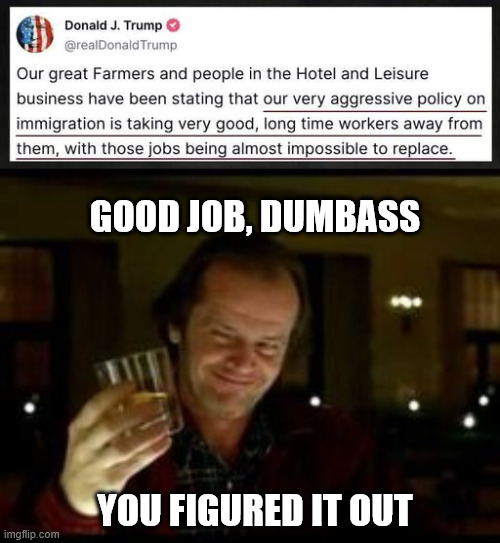 GOOD JOB, DUMBASS; YOU FIGURED IT OUT | image tagged in jack nicholson toast | made w/ Imgflip meme maker