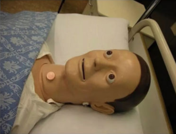 Dummy cpr bug eye Blank Meme Template