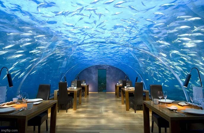 Undersea Restaurant At A Depth Of 5 Metres In The Maldives | image tagged in maldives,restaurant | made w/ Imgflip meme maker