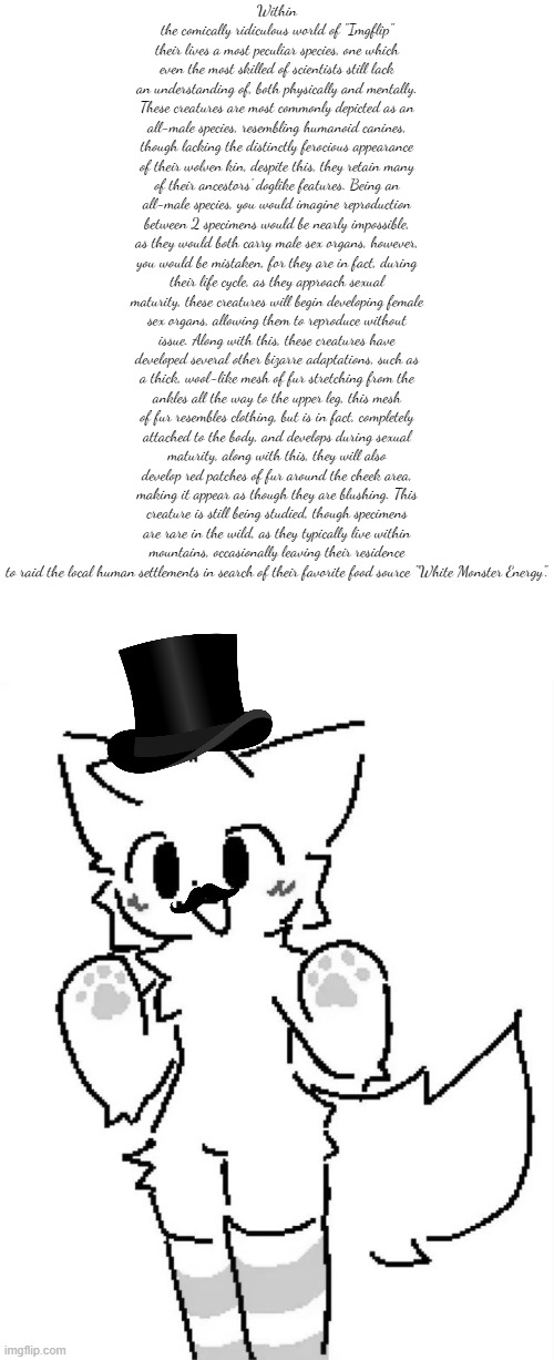 I know this is impossible to read, you just gotta look real closely... | made w/ Imgflip meme maker