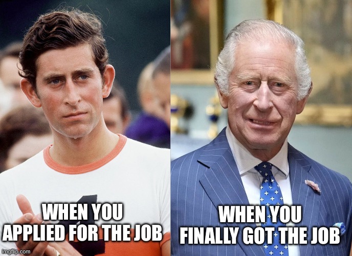 WHEN YOU FINALLY GOT THE JOB; WHEN YOU APPLIED FOR THE JOB | image tagged in royal family,british royals,jobs,king charles,royals,uk | made w/ Imgflip meme maker