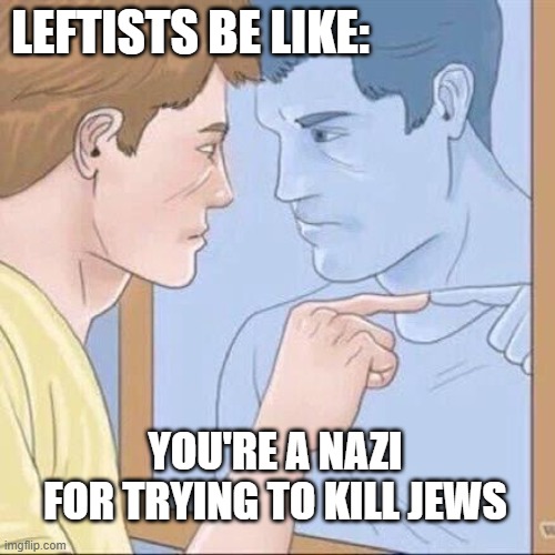 Pointing mirror guy | LEFTISTS BE LIKE:; YOU'RE A NAZI FOR TRYING TO KILL JEWS | image tagged in pointing mirror guy | made w/ Imgflip meme maker