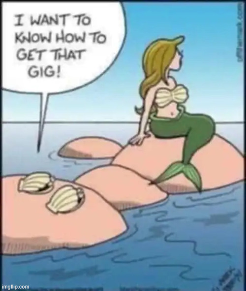 Seashells | image tagged in repost,seashells | made w/ Imgflip meme maker