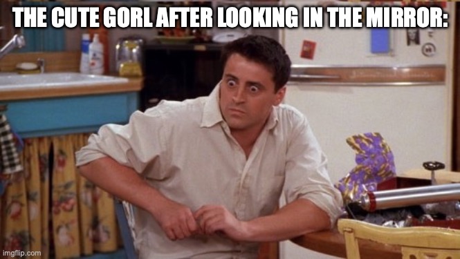 joey wide eyes | THE CUTE GORL AFTER LOOKING IN THE MIRROR: | image tagged in joey wide eyes | made w/ Imgflip meme maker