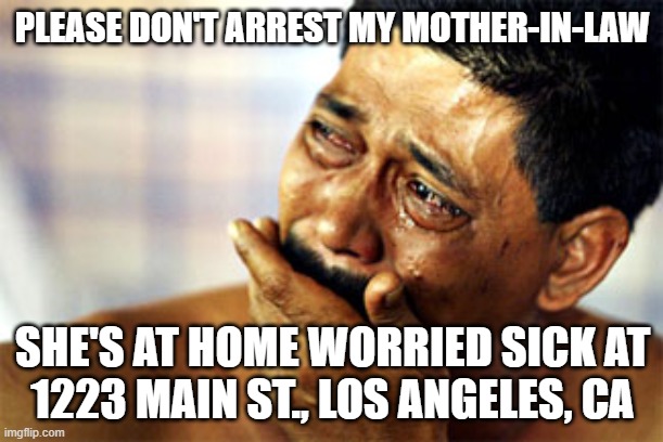 Crying Mexican | PLEASE DON'T ARREST MY MOTHER-IN-LAW SHE'S AT HOME WORRIED SICK AT
1223 MAIN ST., LOS ANGELES, CA | image tagged in crying mexican | made w/ Imgflip meme maker