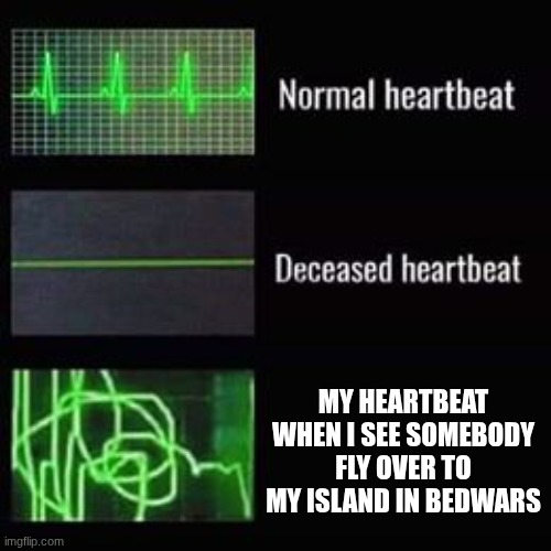 bedwars meme | MY HEARTBEAT WHEN I SEE SOMEBODY FLY OVER TO MY ISLAND IN BEDWARS | image tagged in heartbeat rate | made w/ Imgflip meme maker