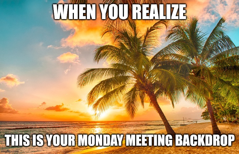 WHEN YOU REALIZE; THIS IS YOUR MONDAY MEETING BACKDROP | image tagged in beach | made w/ Imgflip meme maker