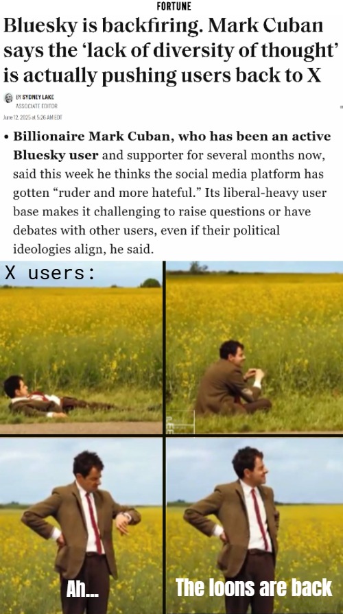 Every "Liberal safe space" is dominated by totalitarian radicals, cos Libs surrendered their policies to them years ago... | X users:; The loons are back; Ah... | image tagged in mr bean waiting,funny,social media,liberals | made w/ Imgflip meme maker